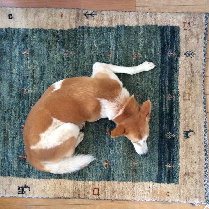 0c97900e a904 4118 8b5a 18186566148d