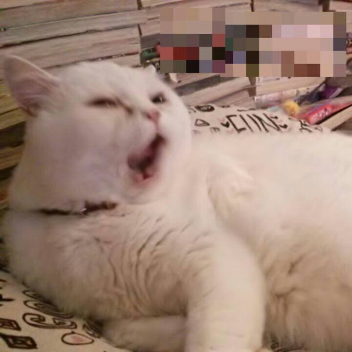 0c97dd33 080b 4cbb b513 87c1b2273f79