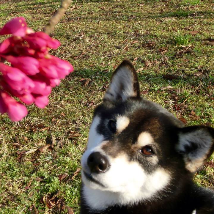 0c97efde 4d85 45f1 81dc c9be9f81e218