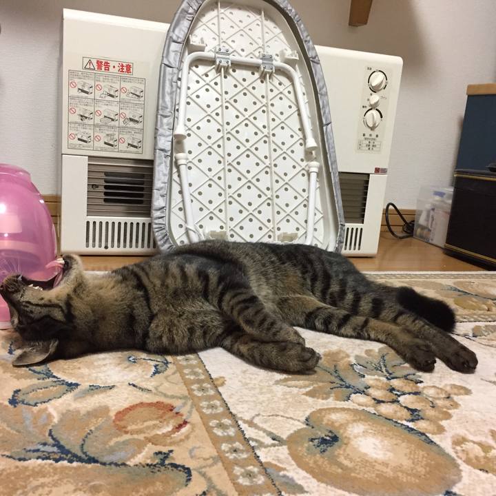 0c992a45 aa86 4bf6 b639 15abea56c2bc