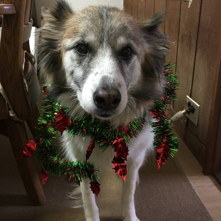 0c9967e4 d4fa 4722 9752 e7eabf1dd519