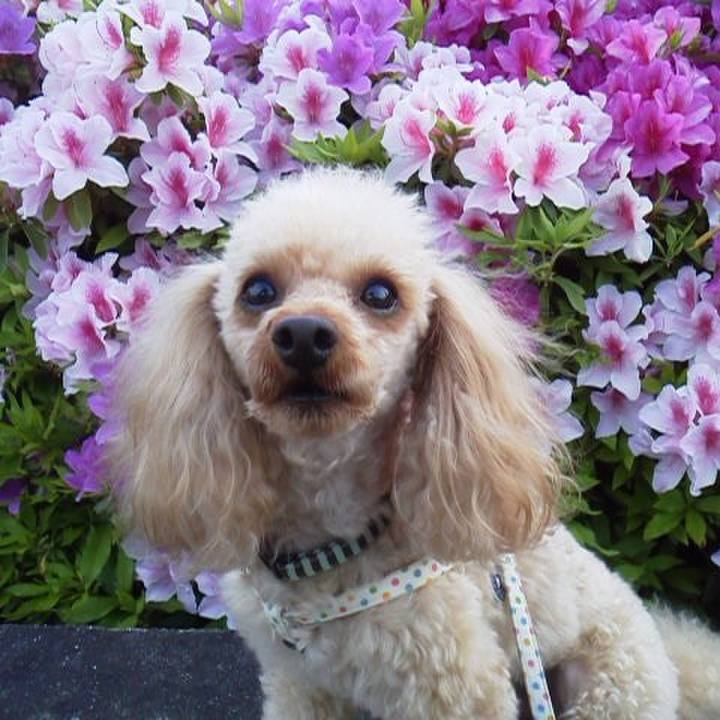 0c9a10da a5e1 4d2f 83ff 8dfb5eae23a2