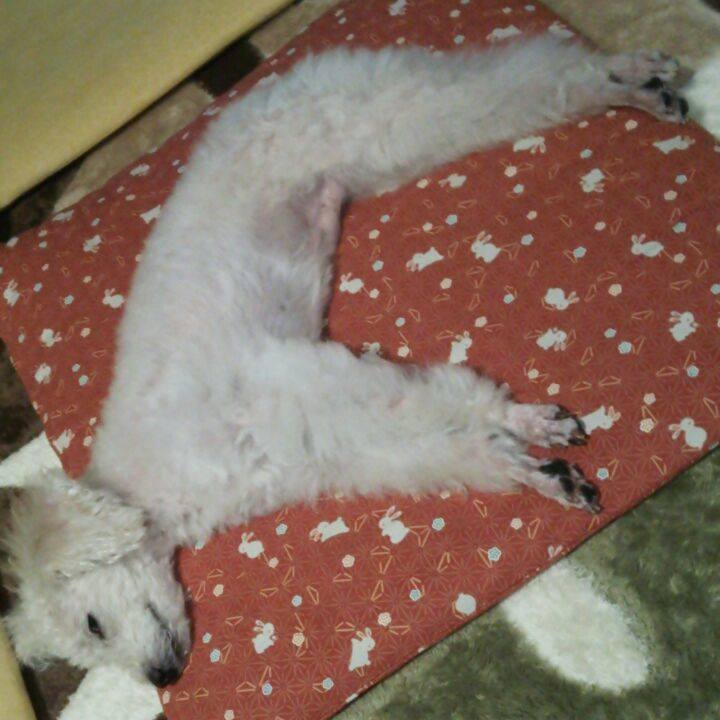 0c9b05ab 82f3 4bdb b9cc 07d5f3e54658