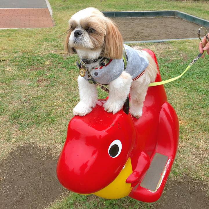 0c9b4465 310b 4cf2 ba0e 9f88681784bc