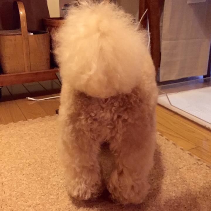 0c9cc15a 31f5 463d b3d8 455188372b41