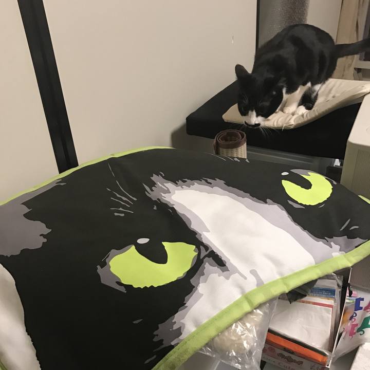 0c9d00e8 9450 469d a3d1 5d924fb5bf33