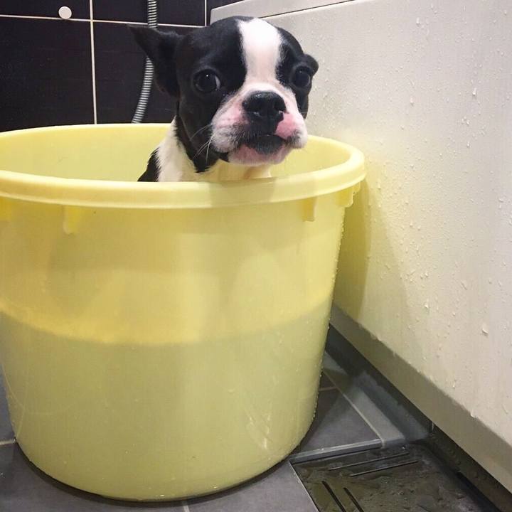 0c9d74b7 91de 4ef5 9a6a 5cda0db3b3c9