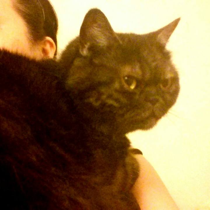 0c9d7985 bcc9 4e83 ba5b 5a57f85a7760