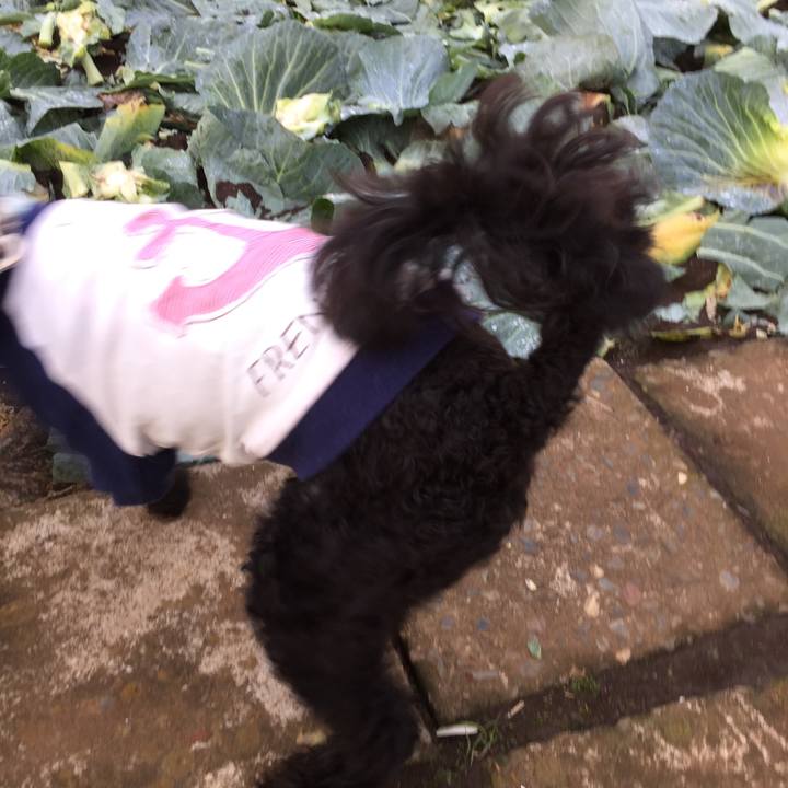 0c9d986f 4491 4367 a5b4 3dcb43b50b23