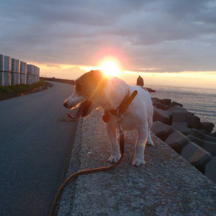 0c9da35f a40a 40d8 adb3 231bdb6050d7