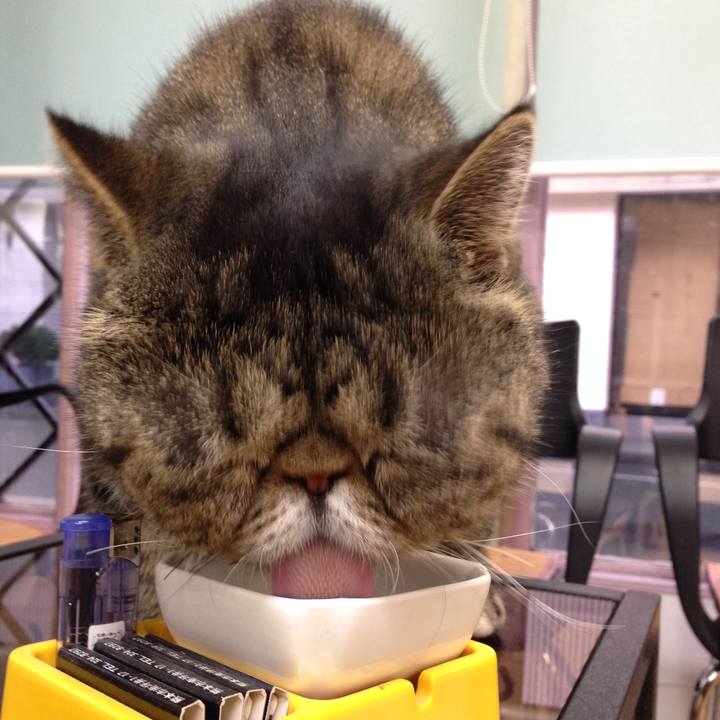 0c9e379c f9df 4301 aced da6a532c5315