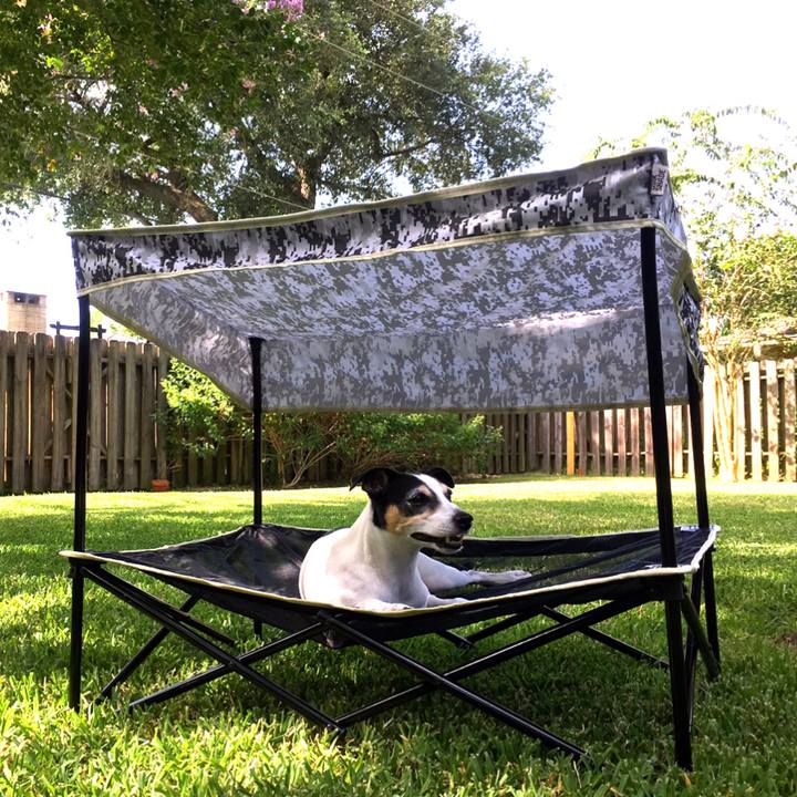 0c9e620d 9151 4a6a bdcc bf559112e51c