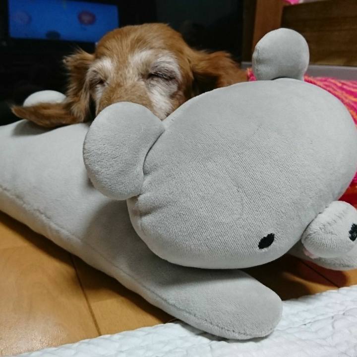 0c9e6cab 2f18 4cee afb6 5a02af34a79f