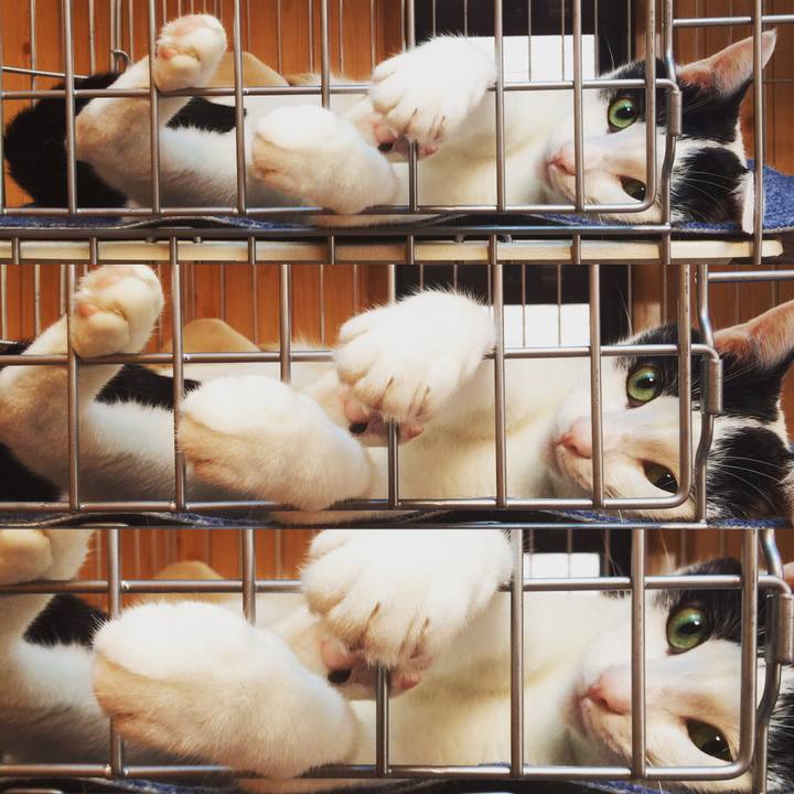 0c9e8f92 0760 43fc b4d8 07f17d3f56cf