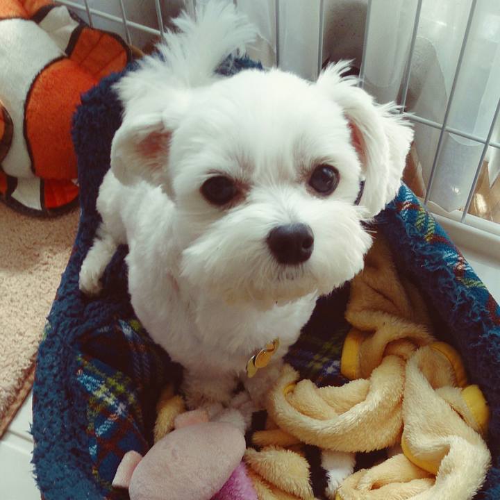 0c9ea165 19b7 49b0 8b3d 917453d96318