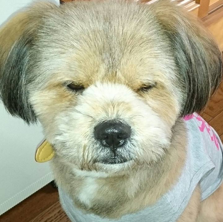 0c9f23a6 9fc3 4174 ad28 45a9142173c4