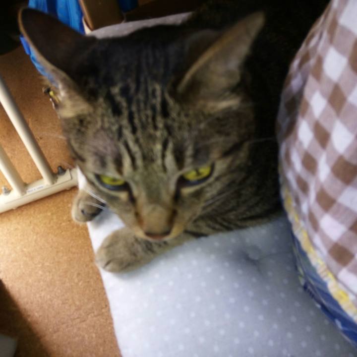 0c9f3f63 d7e0 4d2d b9b1 5f7c06cc07db