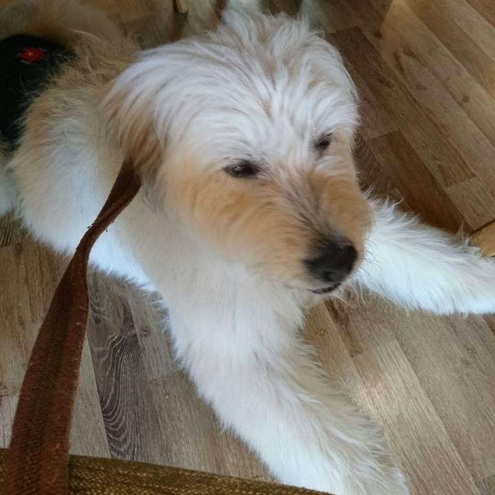 0ca0c23a 473e 48c2 b897 a88f37d0b90c