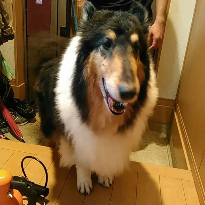 0ca1a1d6 8d37 4212 9123 8209a4f2391b