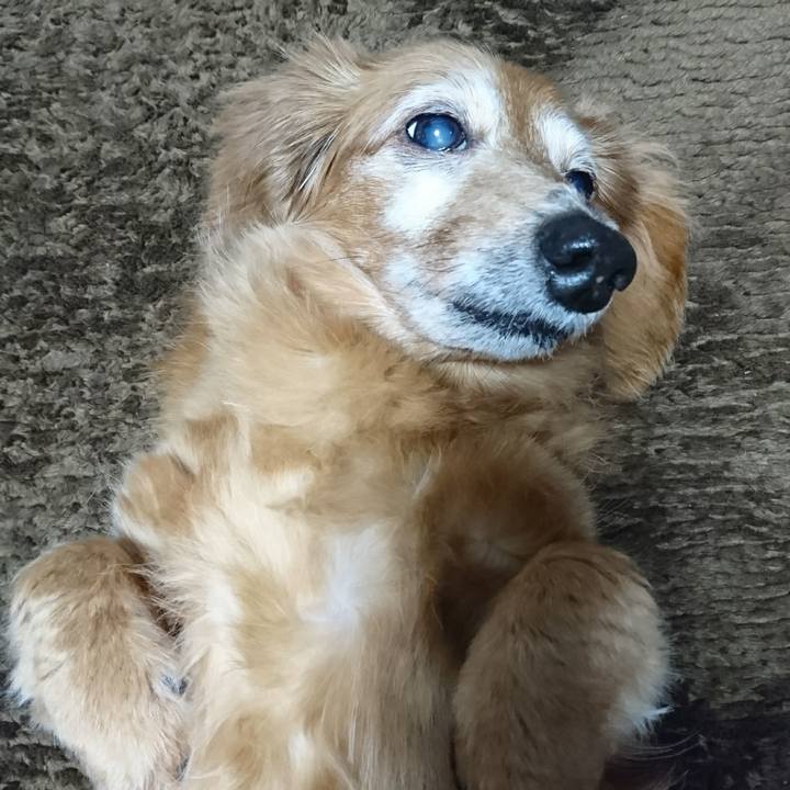 0ca23205 6baa 48e2 bf6d 6fe98c976db2