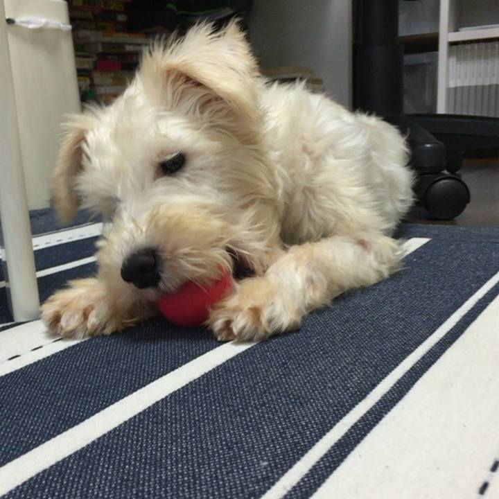 0ca24095 c10c 4702 92e7 09d177543d13