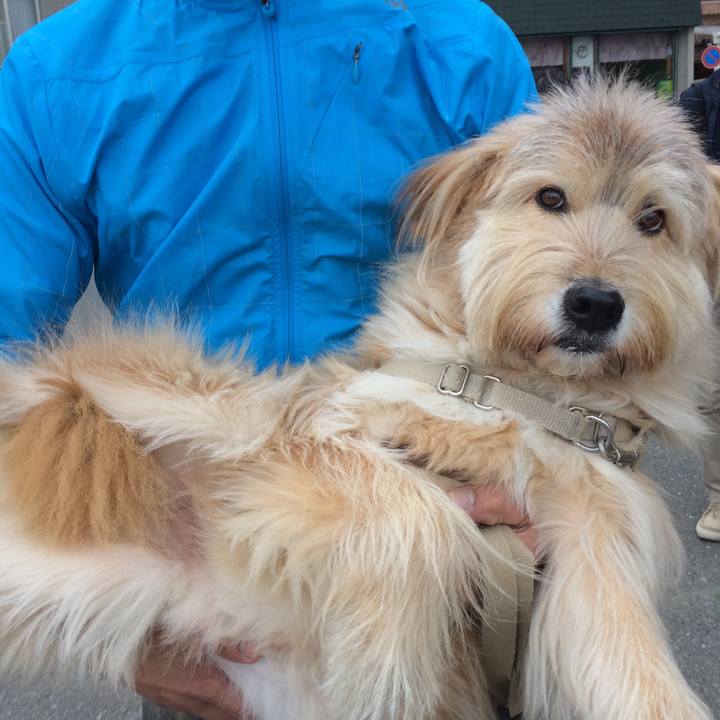 0ca3e41a 2ac8 4591 9827 bffeb4bdb8cc