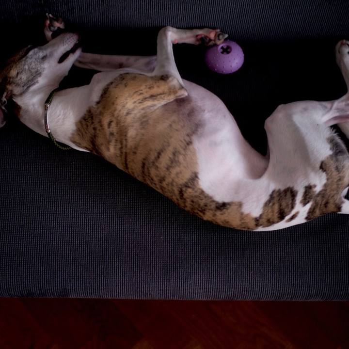 0ca3f2cc 490c 411f 9f53 4c0b72c67340