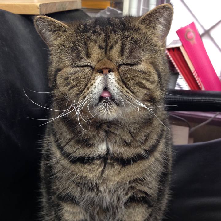 0ca4d33c 2ecc 4a19 8aad 5fea99f2690e