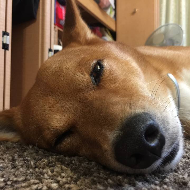 0ca5dbcb 4c59 4eec 9c67 9f0827171e82