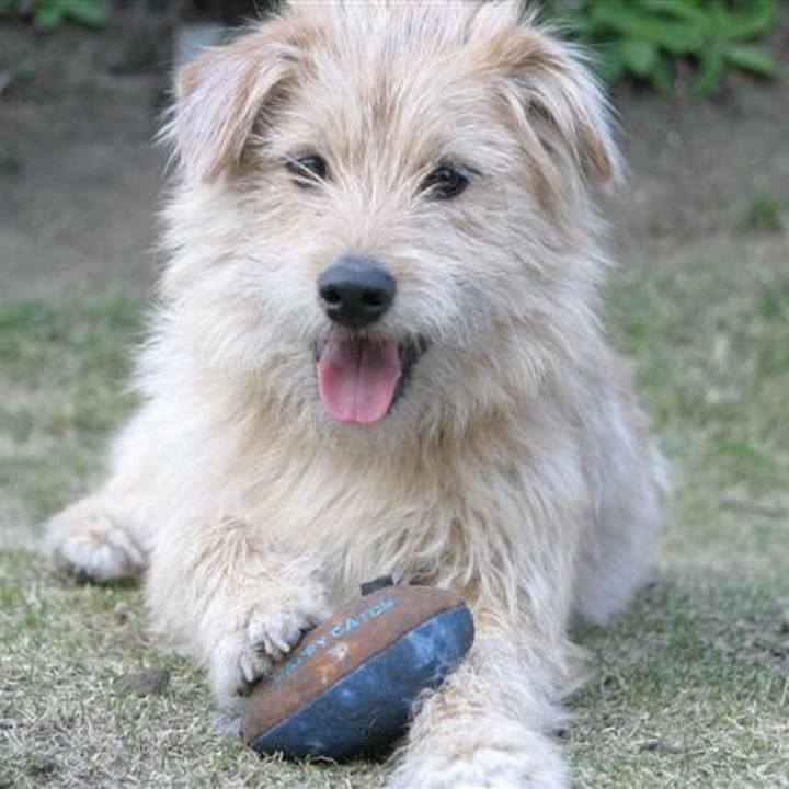 0ca6a550 e849 4395 9af1 829949984f23