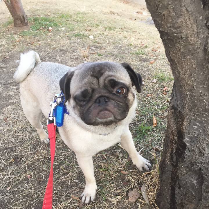 0ca6d9f0 b42a 444b b5f9 026fade68ebe