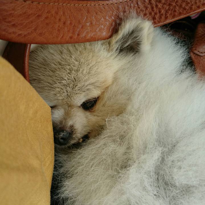 0ca6dca0 b3bc 46ce 9818 9640a2ba0504