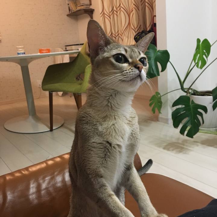 0ca7caba 7c51 4a1b aff8 e48f30357758