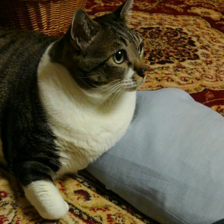 0ca7dea5 fbdf 4b78 b495 e642eface527