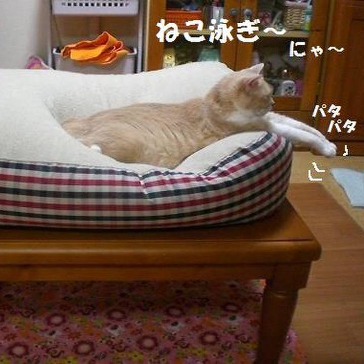 0ca7e6ab 6f7b 4280 969e 50816094eb62