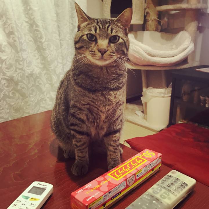 0ca81e9a ee4f 4c13 8f77 c0d1cd207c75