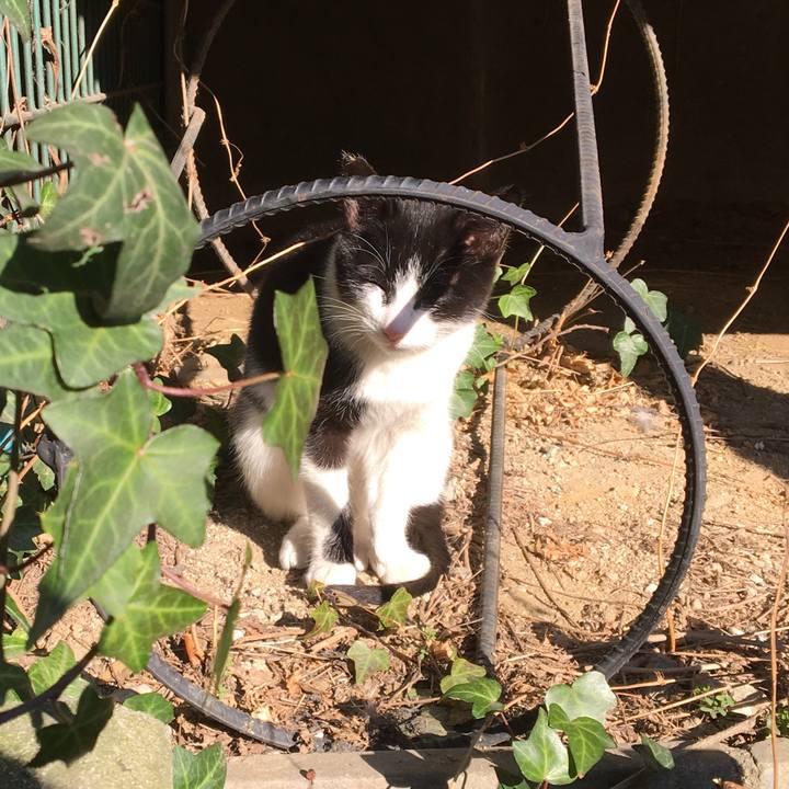 0ca852bd 6c6b 4b75 a111 08da27825efd