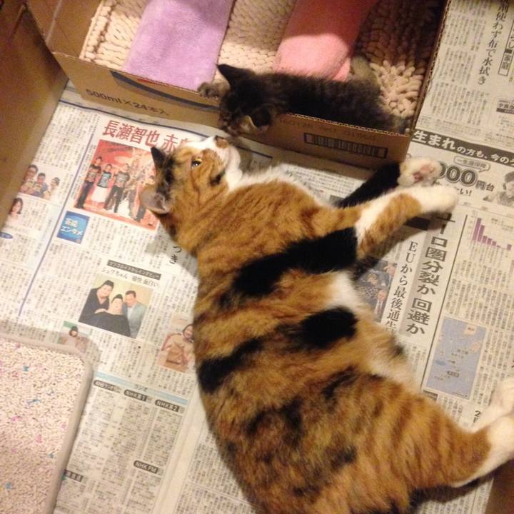 0ca8c233 d6c8 4fae 8014 8eea002a39a7