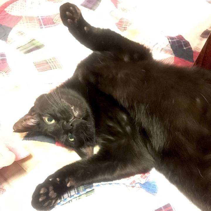 0ca8e1b3 f5e9 4d27 a84c 1eb41c2e95c0