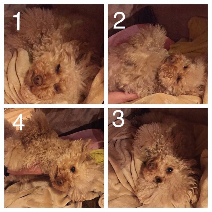 0ca91ed1 2a96 4aa3 81dc 7d14695f37c6