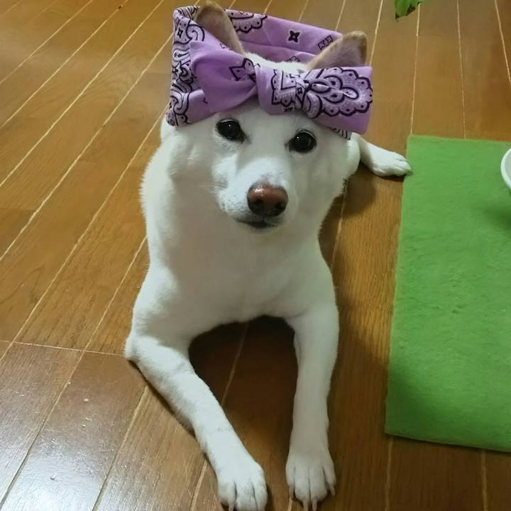 0ca967a9 9eec 4cbe 8033 d8580ba2c854