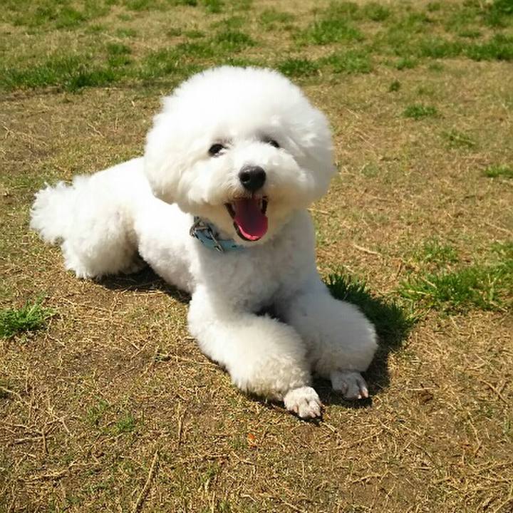 0ca96e34 da00 41e5 81d9 b9320767fd05