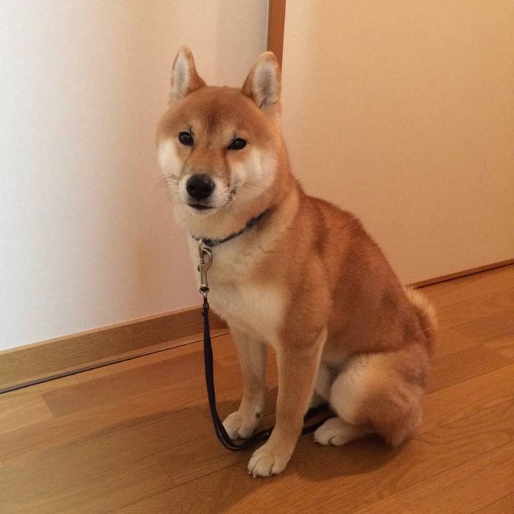 0ca9e107 a76f 4da3 979e fbef4f82578a