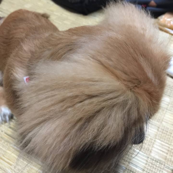 0caa1800 47ea 4e24 adc5 eee91bc601e3