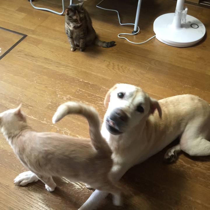 0caa1d9c c1cf 4f30 ab24 67e61066fec6