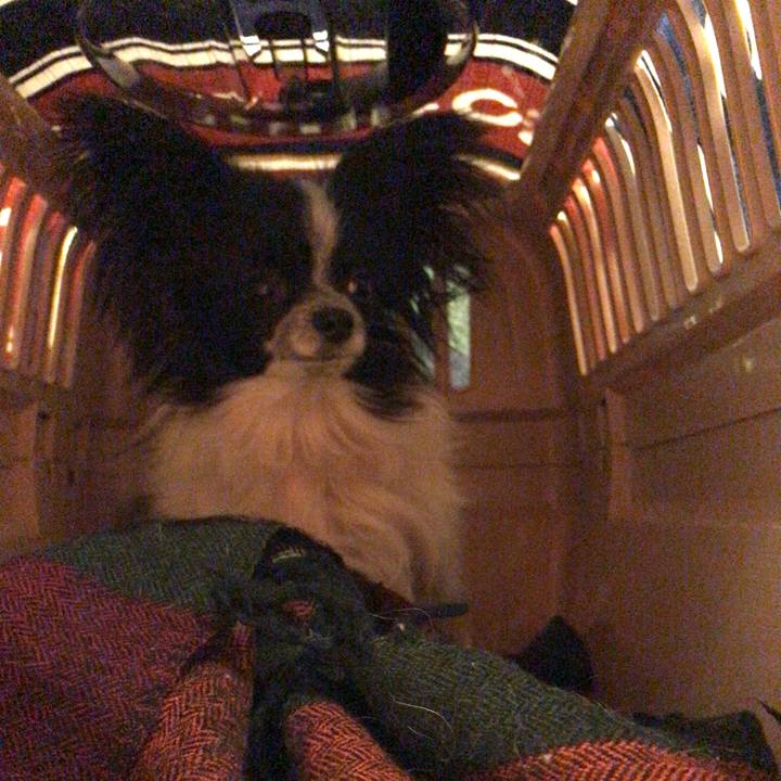 0caa2d2a a57d 439a bf0d 6766fc410a1e