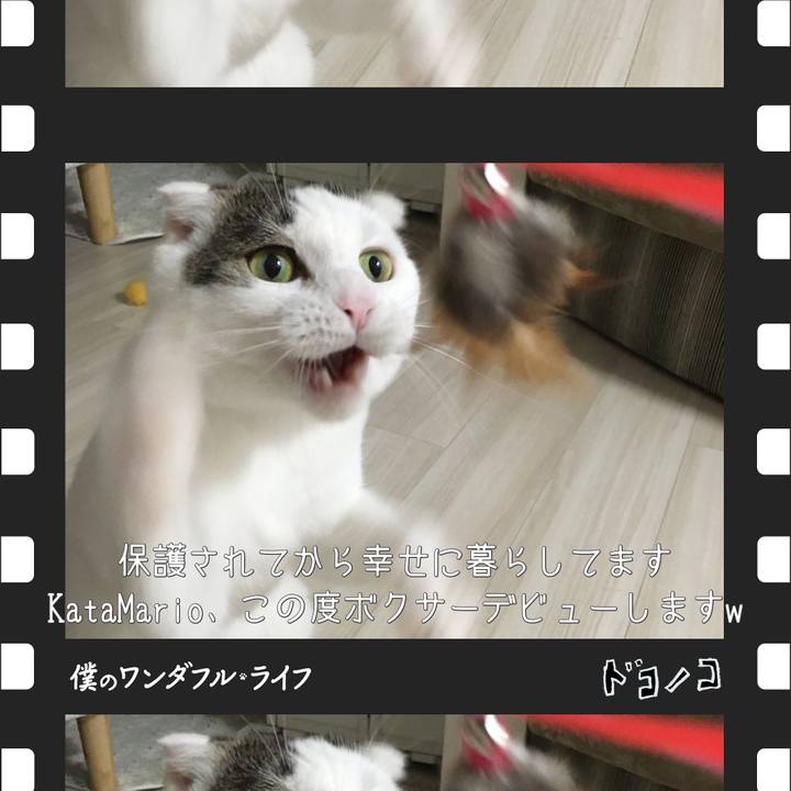 0caa5042 06ee 4ee9 8df5 b233fe0c915e