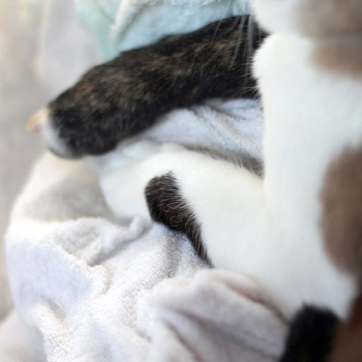 0cab3bae 9c25 41d9 a87f 374718644c88