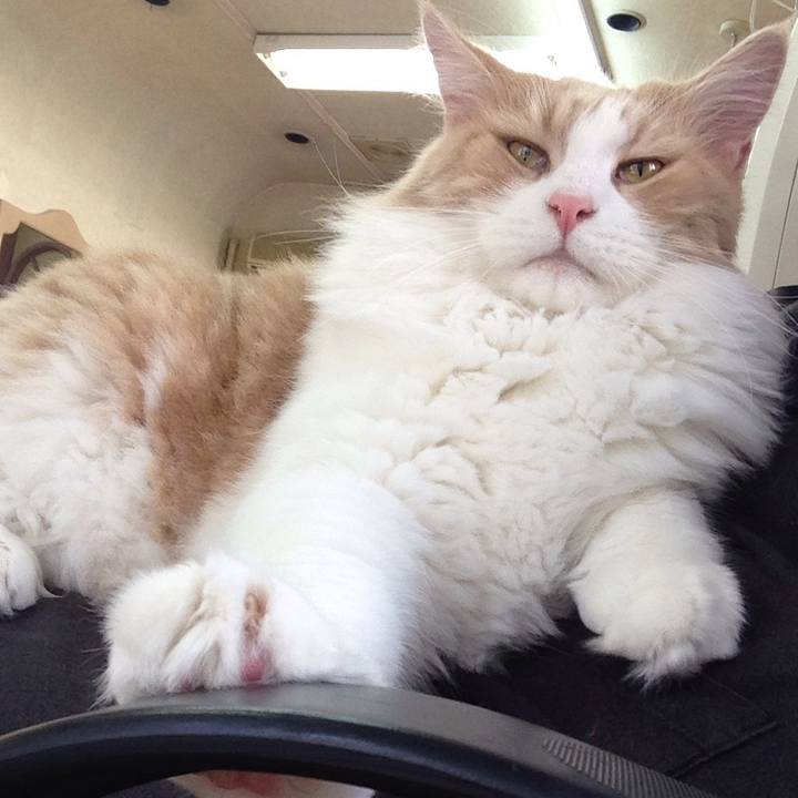 0cabf819 a324 45c2 a7d8 0c0ee688ecb0