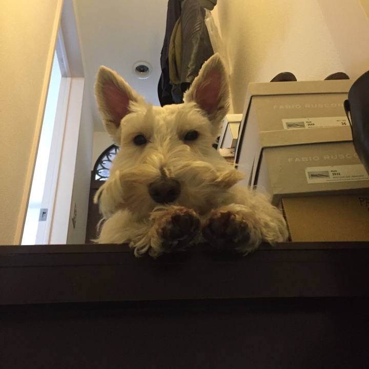 0cac1137 6419 4962 95fd 9480f91629a2